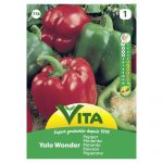 VITA SEMENTE PIMENTO CALIFORNIA WONDER