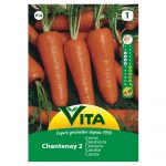 VITA SEMENTE CENOURA CHATENAY VERMELHA