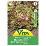 VITA SEMENTE ALFACE MARAVILHA 4 ESTACOES