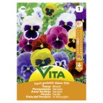 VITA SEMENTE AMOR PERFEITO MISTURA