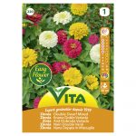 VITA SEMENTE ZINIA ANA MISTURA