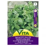 VITA SEMENTE MANGERICO GRANDE VERDE
