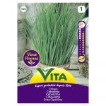 VITA SEMENTE CEBOLINHO