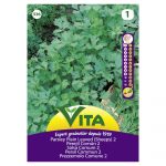 VITA SEMENTE SALSA COMUM 2