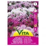 VITA SEMENTE CRAVO DOS POETAS MISTURA