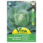 VITA SEMENTE COUVE REPOLHO CORACAO BOI