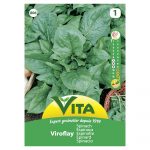 VITA SEMENTE ESPINAFRE VIROFLAY