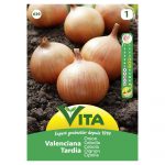 VITA SEMENTE CEBOLA VALENCIANA